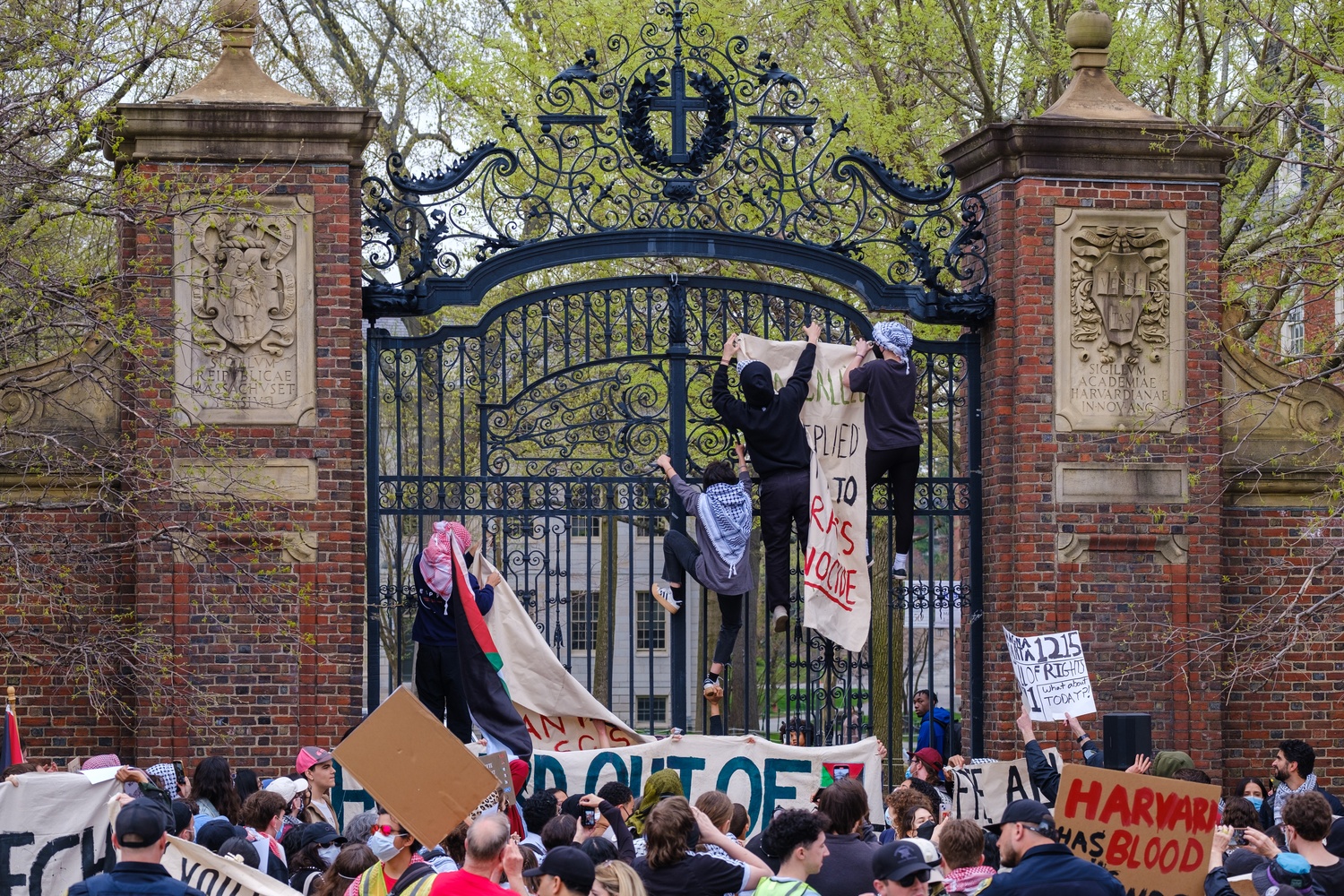 A Protest at Harvard Square